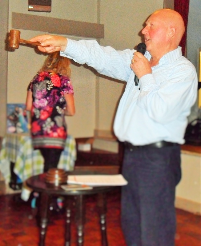 Charity Auctioneer photo